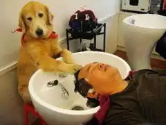 搞笑动物图片大全可爱动物搞笑图片
