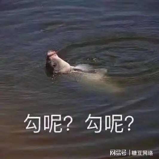 周末无聊一起来秦始皇ol跳舞钓鱼啊
