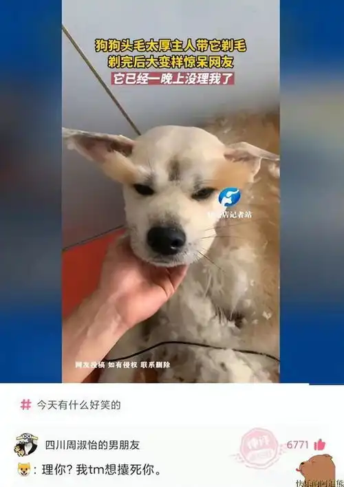 搞笑图片幽默段子笑话说好的信任呢
