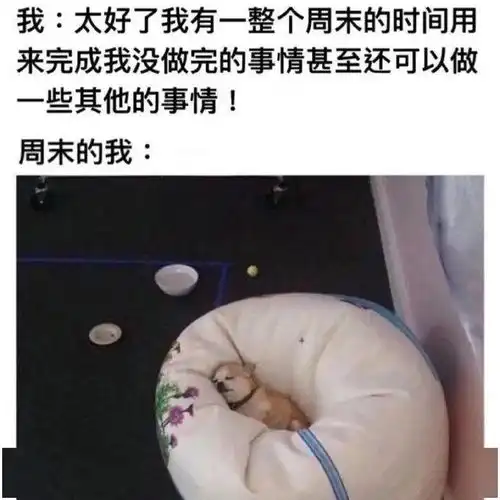 等我来再开始
