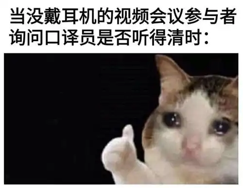 只有翻译人员才懂的搞笑图片,看完扎心了

