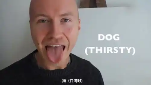 牛人小哥秀口技,模仿30种动物叫声

