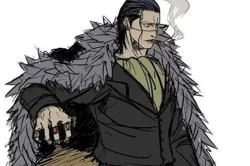 海贼王克洛克达尔为什么那么弱他不是七武海吗
