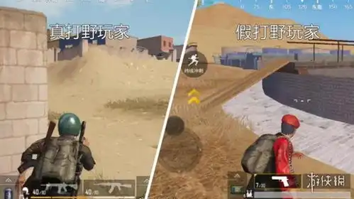 刺激战场沙漠地图怎么打野沙漠地图打野套路分析
