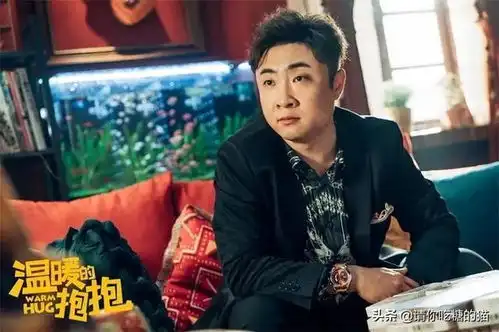 李沁沈腾马丽主演喜剧温暖的抱抱携手跨年夜,爆笑来袭
