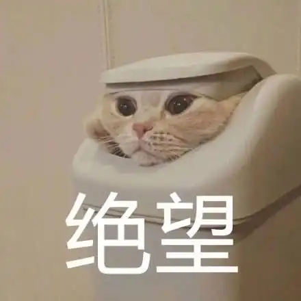 史上最难就业季上演二十不惑,苏宁招聘新物种治愈毕业生
