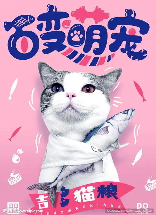 宠物海报图片
