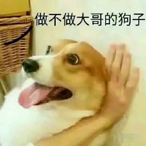 幽默笑话姐夫婚后第一次跟我姐回农村老家
