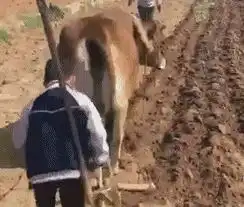 这是谁的电动车,怎么会这么可爱,我怀疑它在对我撒娇
