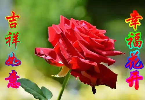 微信很好看的早上好动态祝福图片朋友圈早晨好图片带字大全
