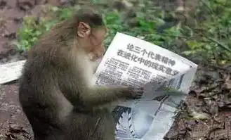 搞笑图片今年怎么会出现这么多奇葩姐妹无语了
