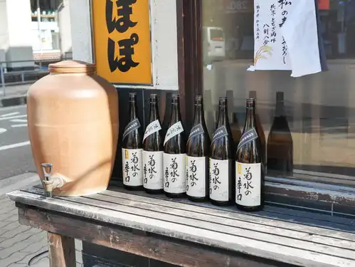 日本要怎么玩才好玩别说钱花的越多越好玩
