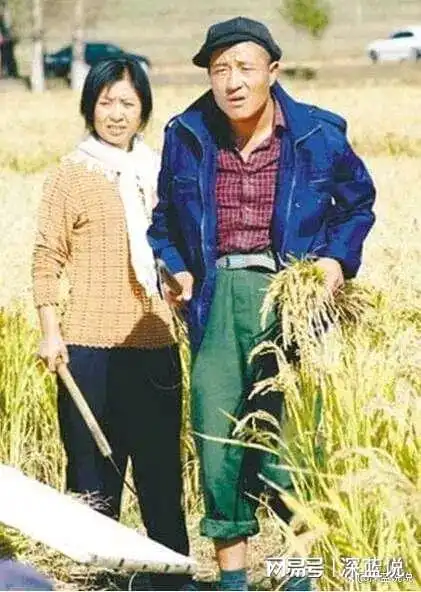 赵四下线谢广坤乡村爱情最不可或缺人物
