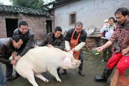 在农村杀猪的人,看上去膀大腰圆,为何他们的寿命却很短
