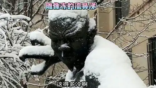 盘点东北到底有多冷,雕像都冻流鼻涕了,南方人看了瑟瑟发抖

