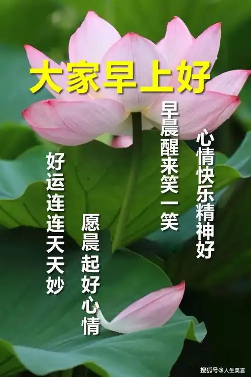 早上好图片最新图片带字,暖心早安句子配祝福图

