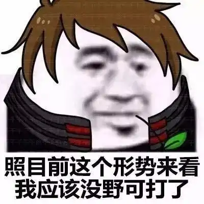 搞笑照目前这个形势来看,我应该表情包,之王者荣耀版
