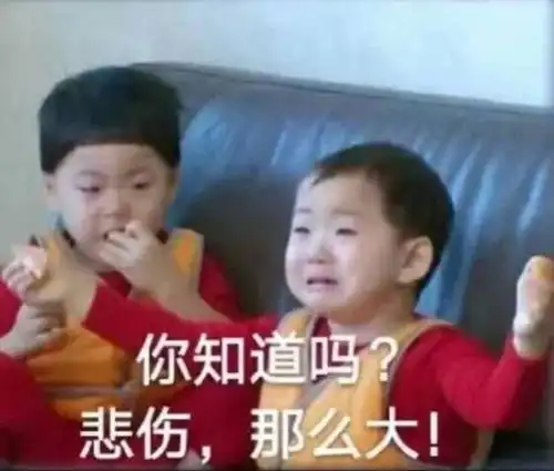 今日份搞笑表情包40张
