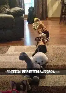 这些图够你笑一年请自带纸巾防口水喷溅
