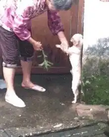 搞笑图片这个生日礼物怎么样哈哈哈哈
