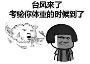 周末台风又双叒来了16号台风玛娃已生成厦门将降雨大风降温
