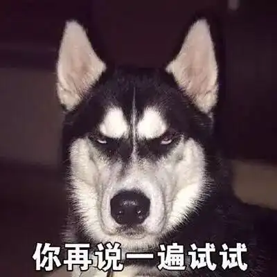一大波二哈表情包,赶紧收好
