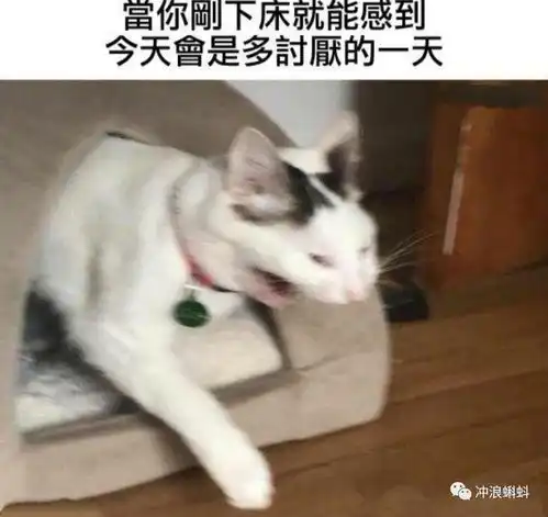 友情提示现实生活中,没人要你,想想为什么网上却有人要你

