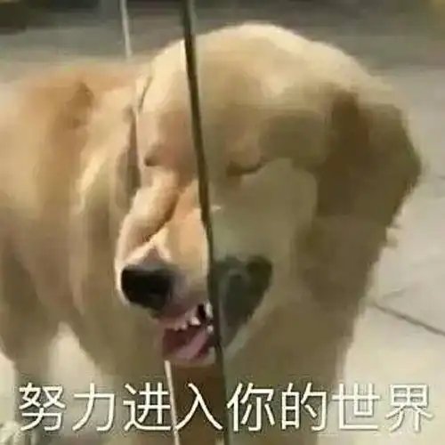 有没有人一下一十四洲
