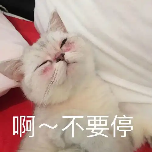 混油皮痘痘肌买什么水乳比较好尽量平价一些
