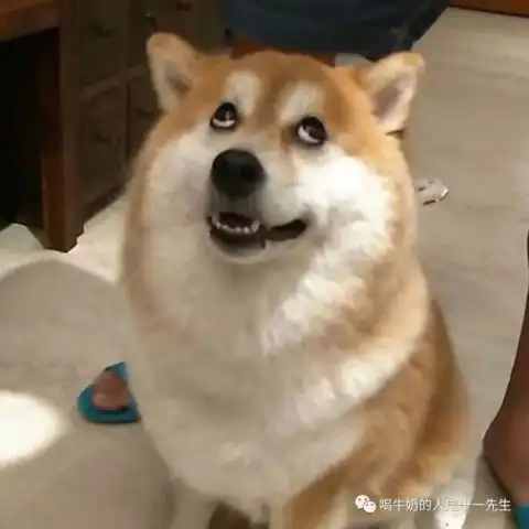 关于第24个想记录的事
