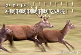 吃货表情包图片大全吃货的表情包下载
