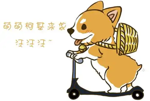 柯基动漫头像
