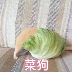 令人捧腹的段子,哈哈哈,第一个我就笑喷了
