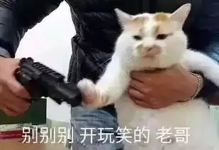 搞笑我以为我们能一起走到最后,谁知道你走了两步就说......
