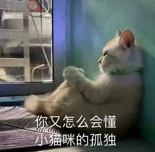 无标题
