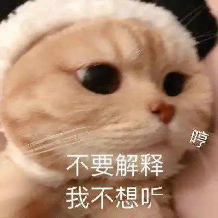 杂图表情包聊天最好用没人反对吧
