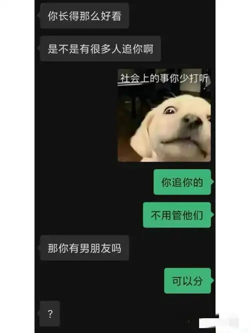 新时代人恋爱聊天讲究的就是一个效率丨搞笑囧图
