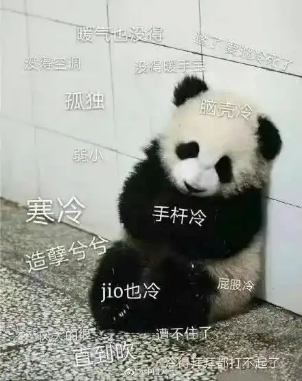 中到大雪精准到天这次是真的
