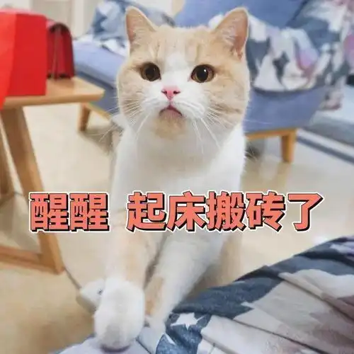 如何优雅地吃一碗五星级桂林米粉图解很长长长长长长,除非很馋否则别点
