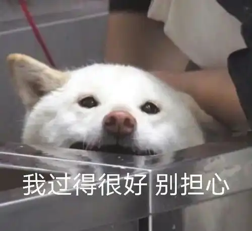 请广东人在杭州吃点都德,失礼吗
