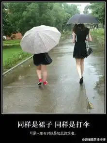 搞笑排行榜这个世界需要更多的
