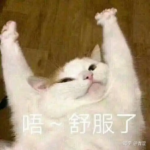 你有哪些有趣的表情包
