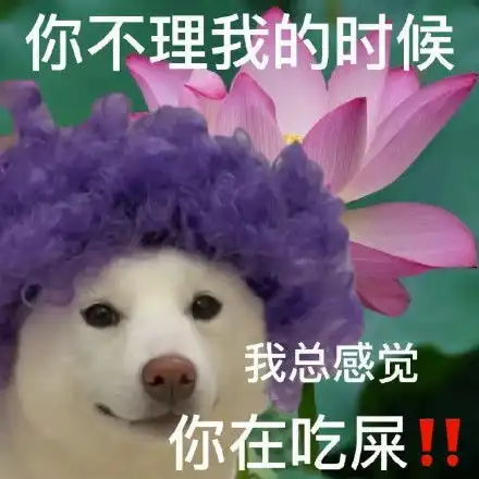 专治各种不回信息
