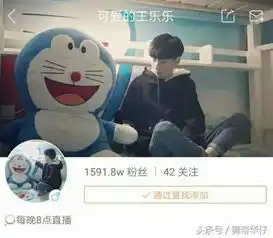 王乐乐超越高迪成快手第四位网红直播炫富微信余额317万
