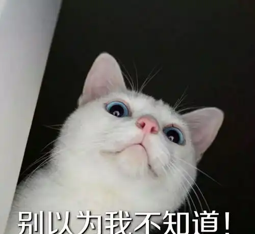 你还不知道猫鼻子隐藏的秘密给主子搞个指纹解锁什么的都弱爆了
