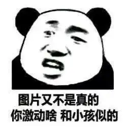 表情包别吹牛了,水泥砖头不用搬了吗
