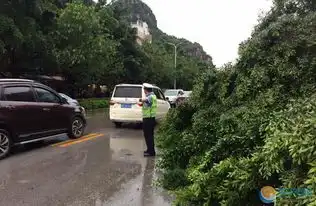 广西柳州遭大风暴雨轮番轰炸200大树被刮倒砸汽车阻交通
