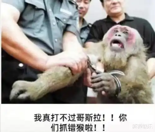 舔狗究竟可以舔到什么程度请开始你的表演,哈哈哈哈
