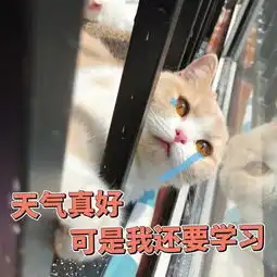 幽默段子笑话今天上课玩手机被老师请到办公室喝咖啡
