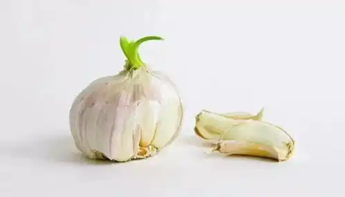 生活小常识丨一图读懂发芽食物,是益是毒
